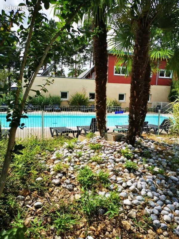 Vacances Ou Cnpe - Appart 2-3 Pers - Le Relais Du Plessis - Richelieu 沙韦涅 外观 照片